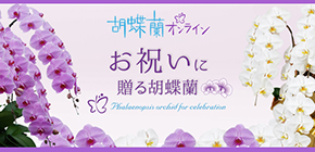portia_logo